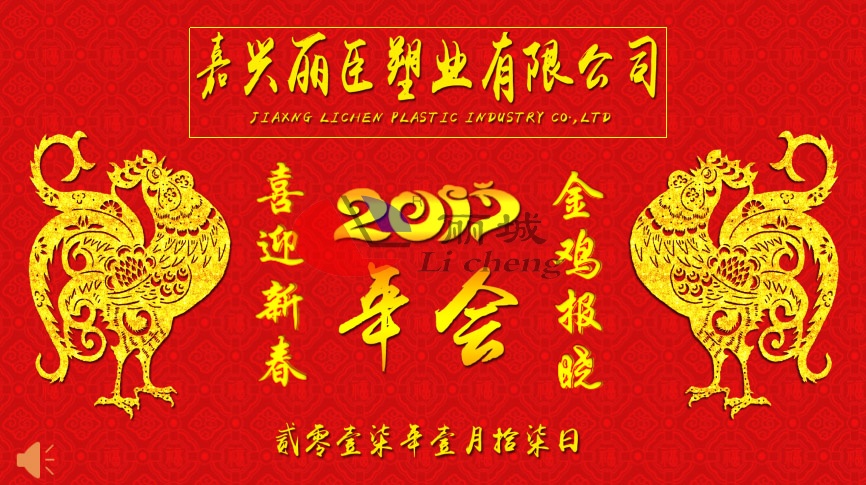 丽臣塑业2017年会