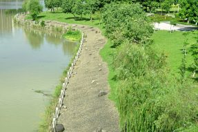 河道生态护坡的植被与水土保持原理