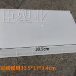 塑料彩砖模具