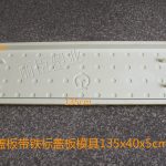 四孔圆点带铁标盖板模具